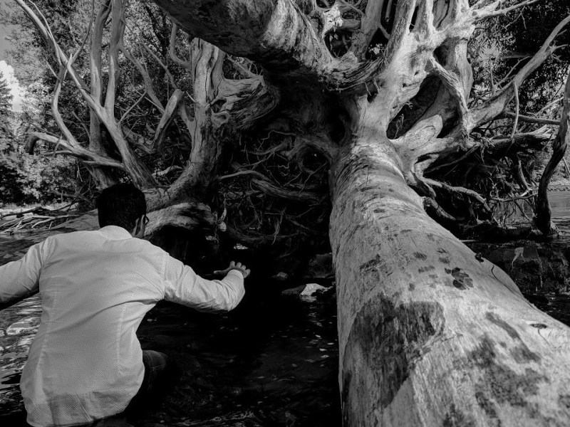 Living memories, A visit to my&nbsp;past