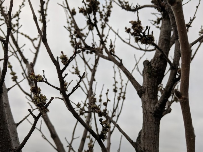 TTC training status update&nbsp;2