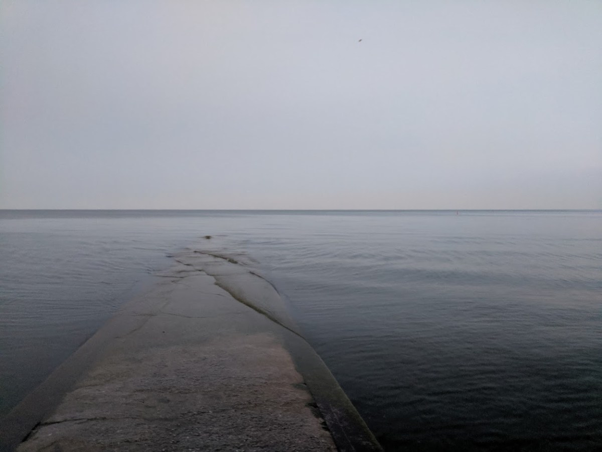 The quest of&nbsp;futility