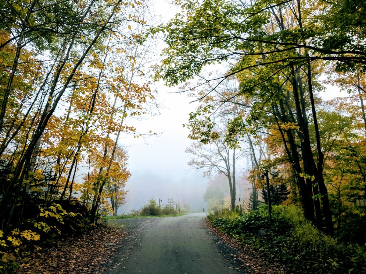 The Mystical Journey