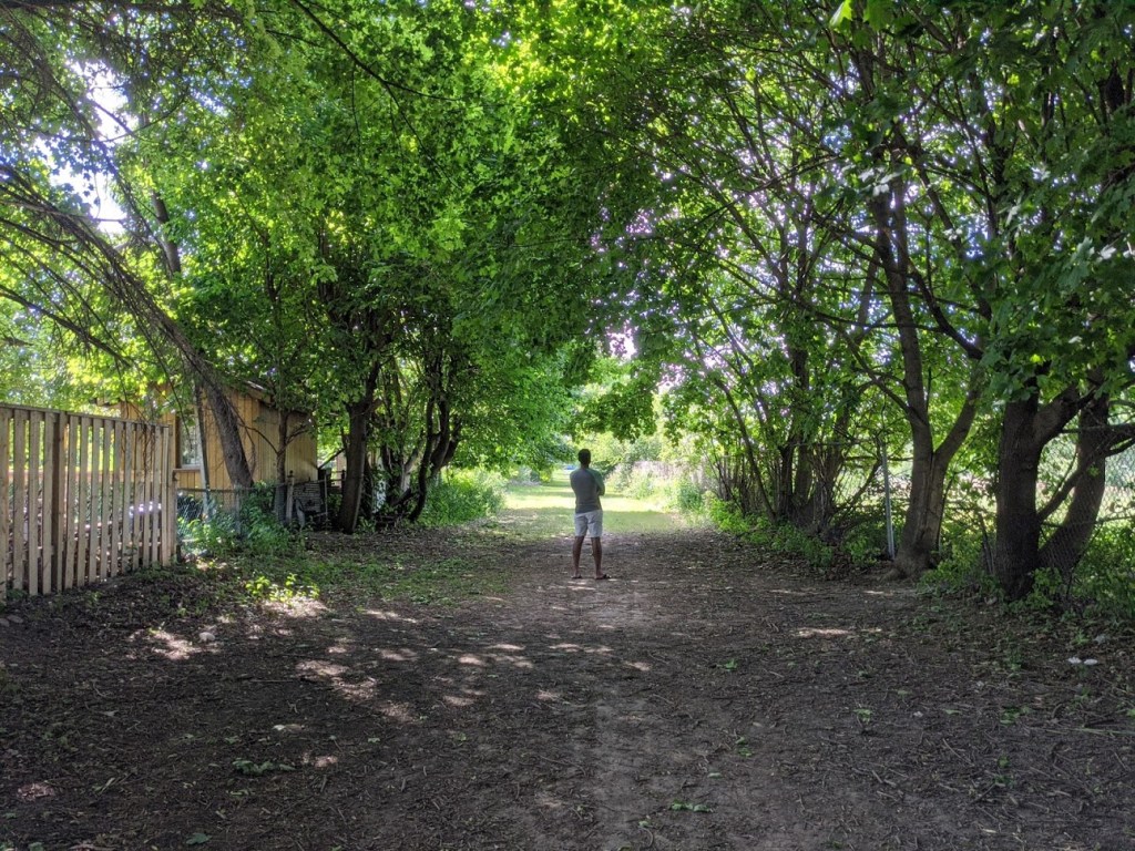 Guru Purnima 2020 – A time for&nbsp;review