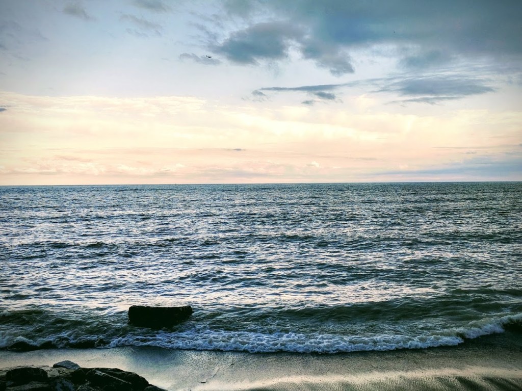 Sri Sri Yoga Teacher training (SSY TTP) 200H Online –&nbsp;Experience